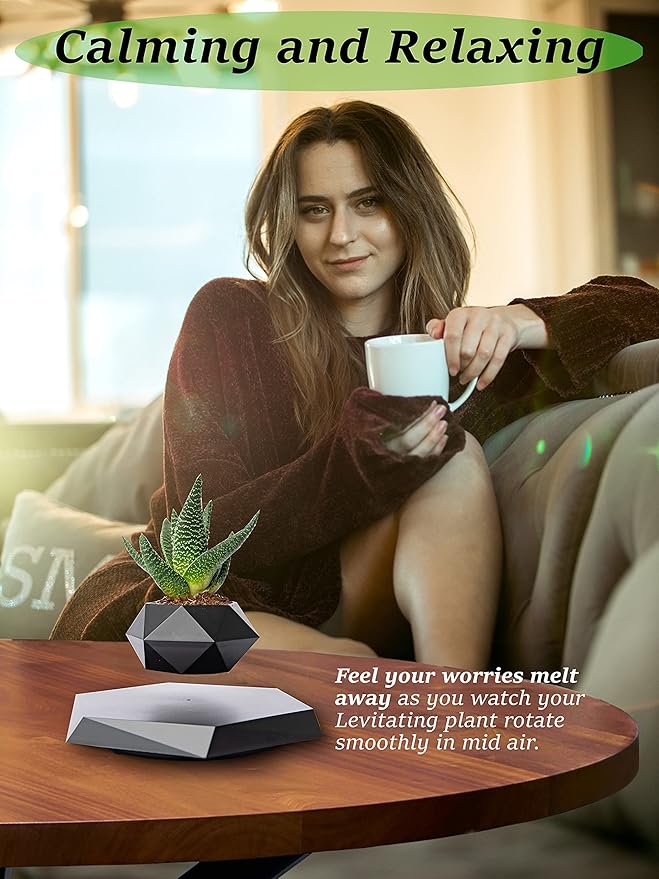 Levitating  Bonsai Plante for home decoration