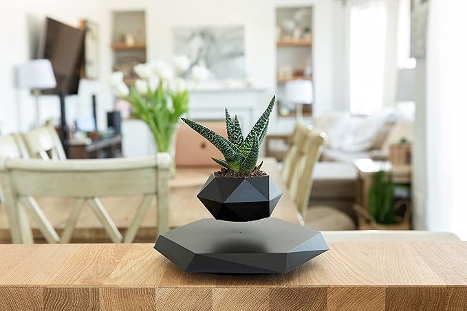 Levitating  Bonsai Plante for home decoration