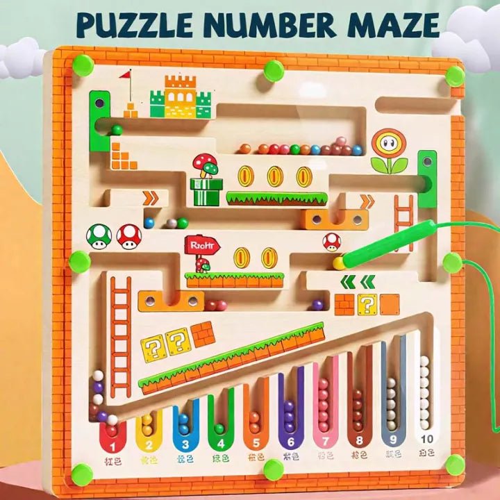 Magnetic wooden Maze