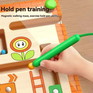 Magnetic wooden Maze